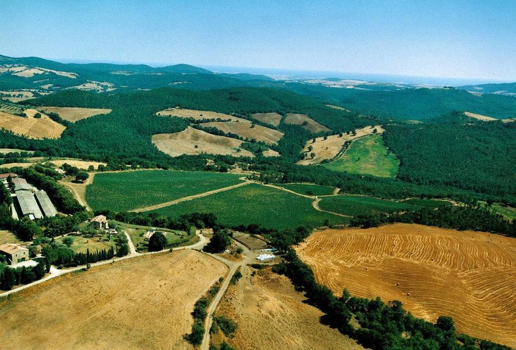 Vila Fattoria Poggio Foco Manciano Exteriér fotografie