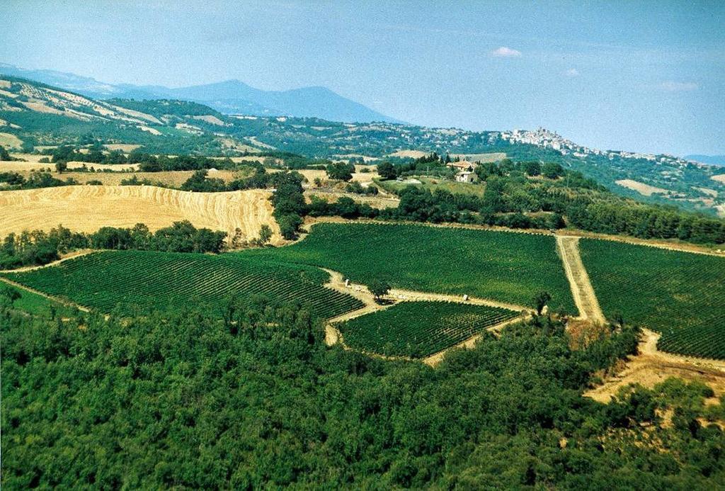 Vila Fattoria Poggio Foco Manciano Exteriér fotografie
