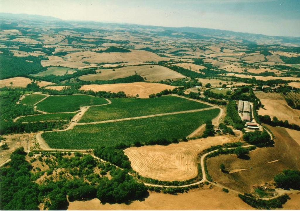 Vila Fattoria Poggio Foco Manciano Exteriér fotografie