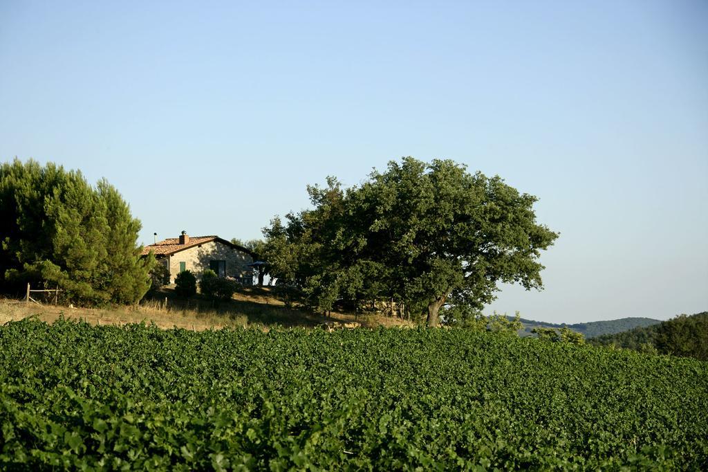 Vila Fattoria Poggio Foco Manciano Pokoj fotografie